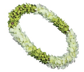 Lei - Double Alternating White & Jade Green from Boulevard Florist Wholesale Market